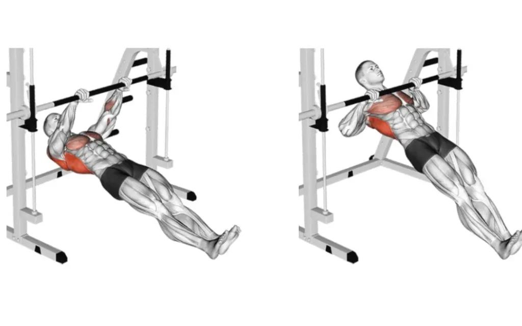 Australian pull-up complete guide