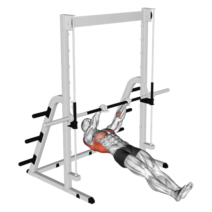 Australian pull-up bodyweight row