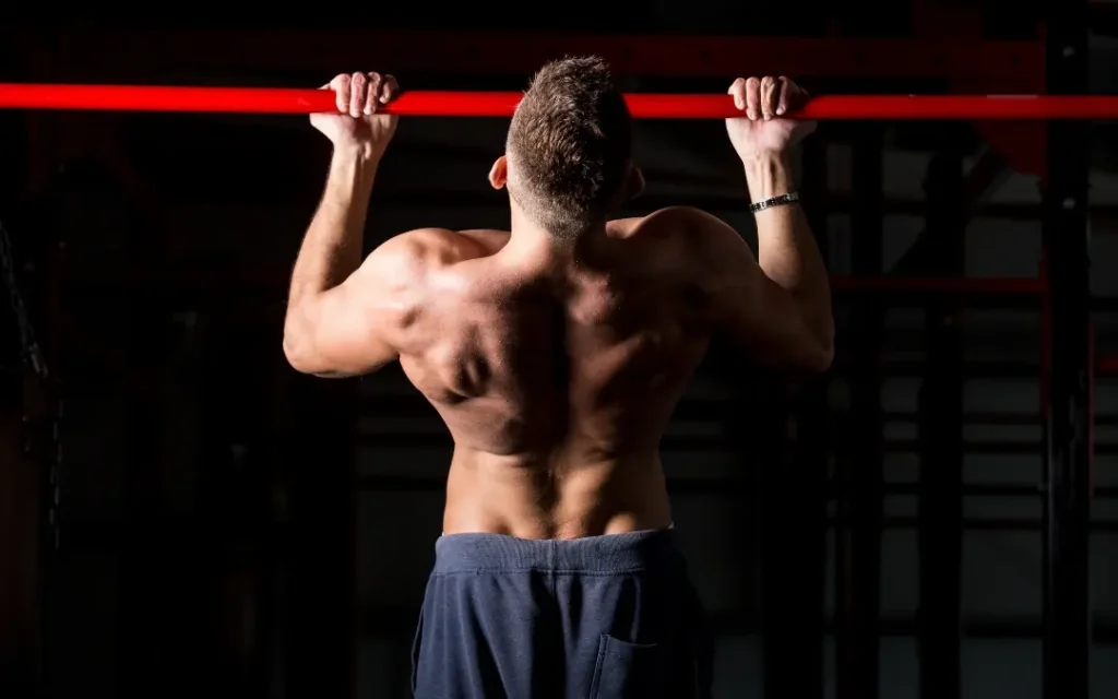 Supinated pull-up exercise