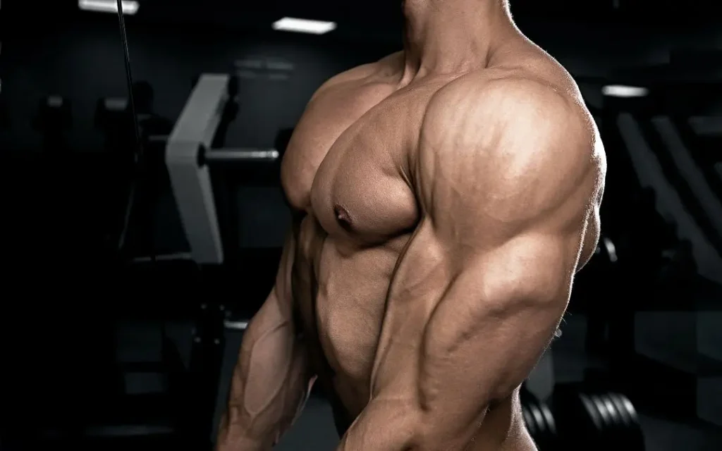 muscle up muscles worked - triceps and chest
