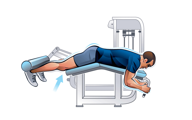 Lying leg curl movement execution