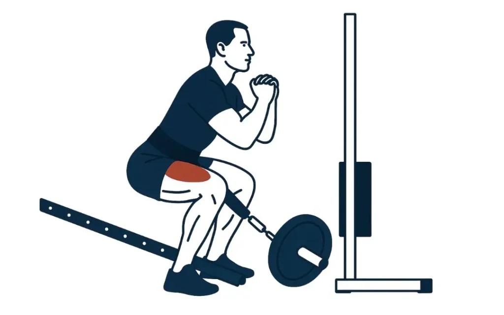 Belt Squat exercise
