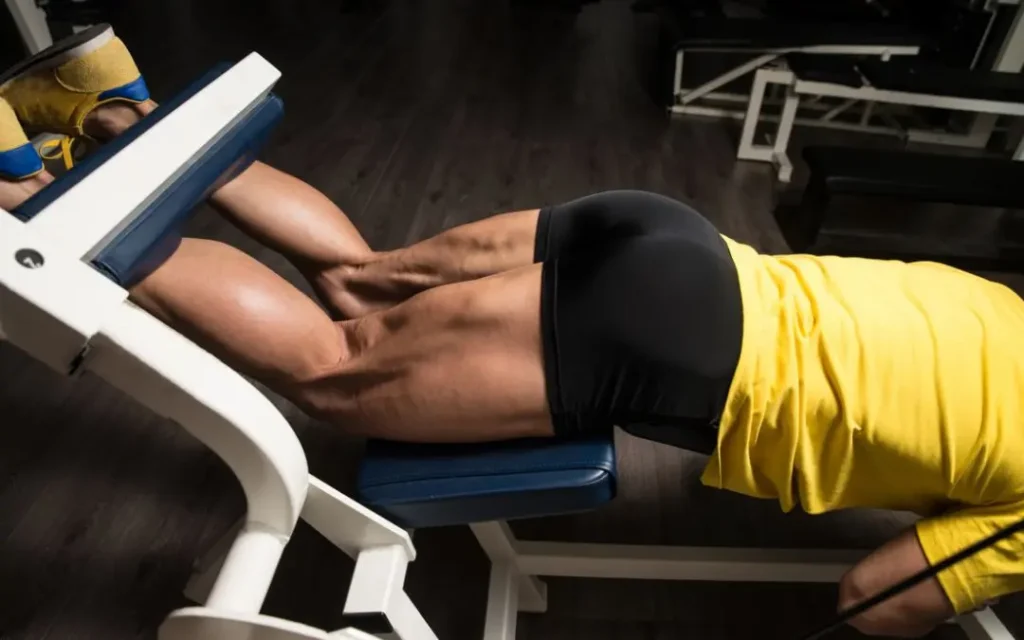 Exercices ischio jambier