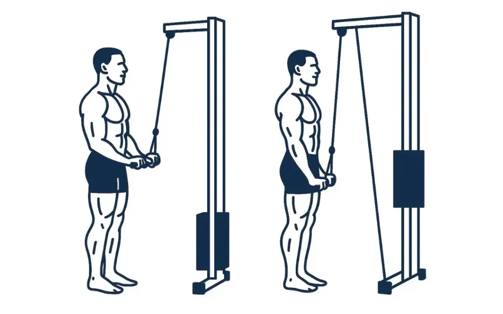Low pulley triceps extension