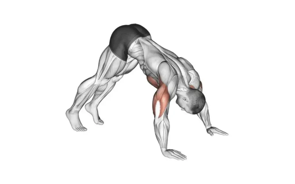 Pike Push-up