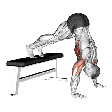 Pike push-up movement execution