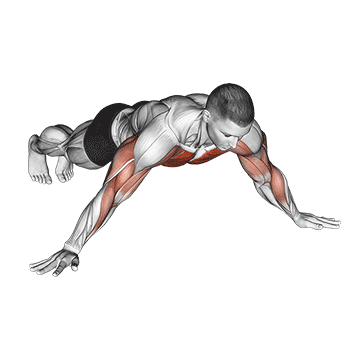 Archer push-up movement execution
