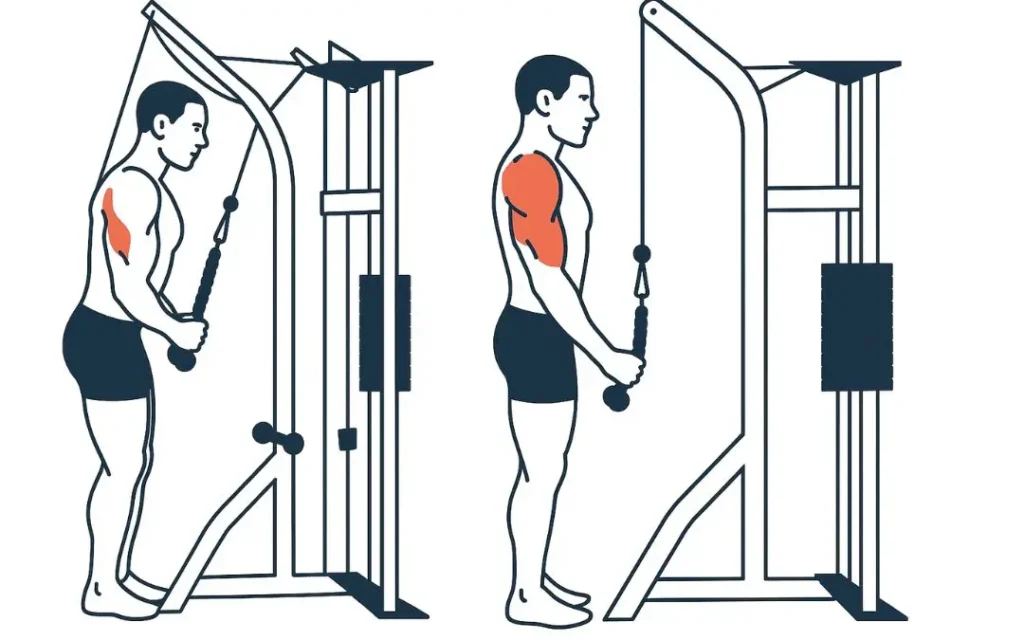 Cable tricep pushdown exercise