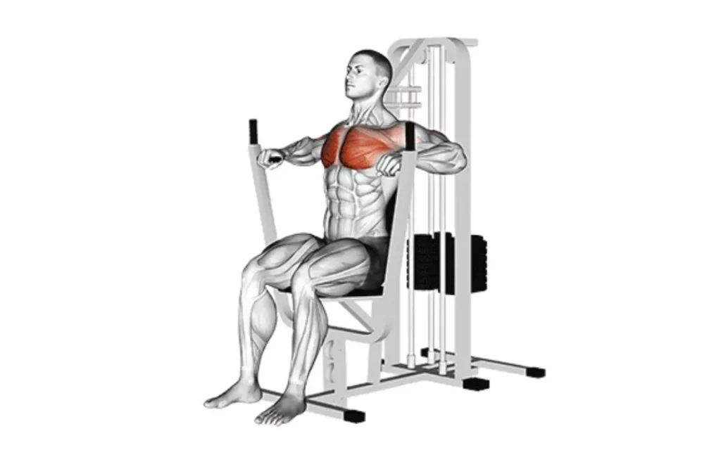 Chest Press