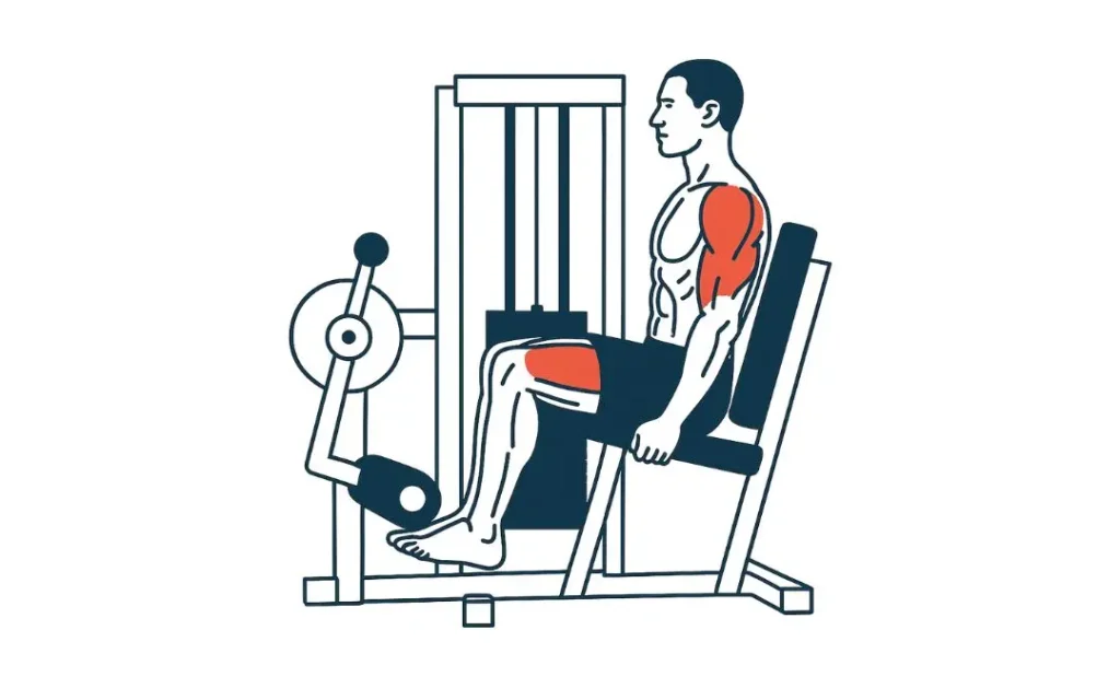 Leg Extension