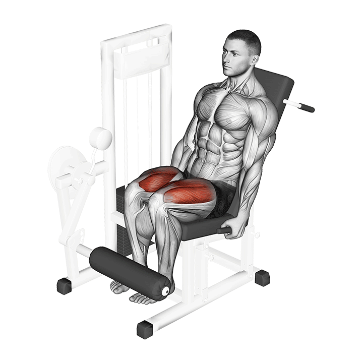 Leg extension movement execution