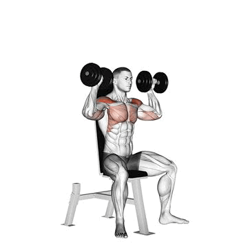 Seated dumbbell press movement execution