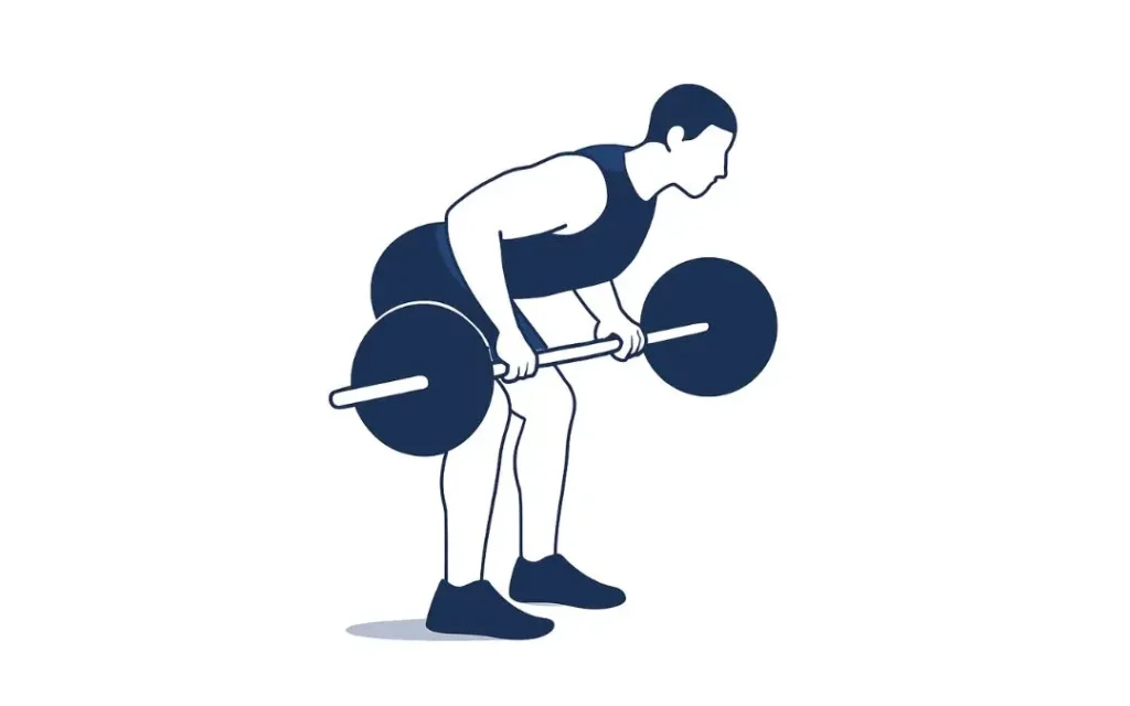 Barbell Row