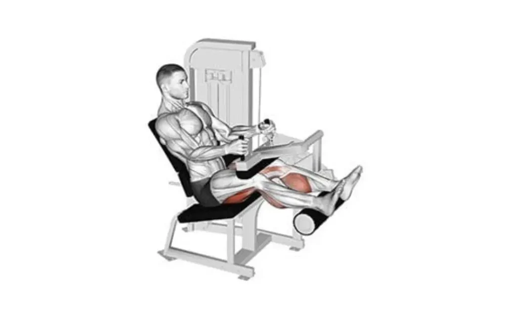 leg curl assis