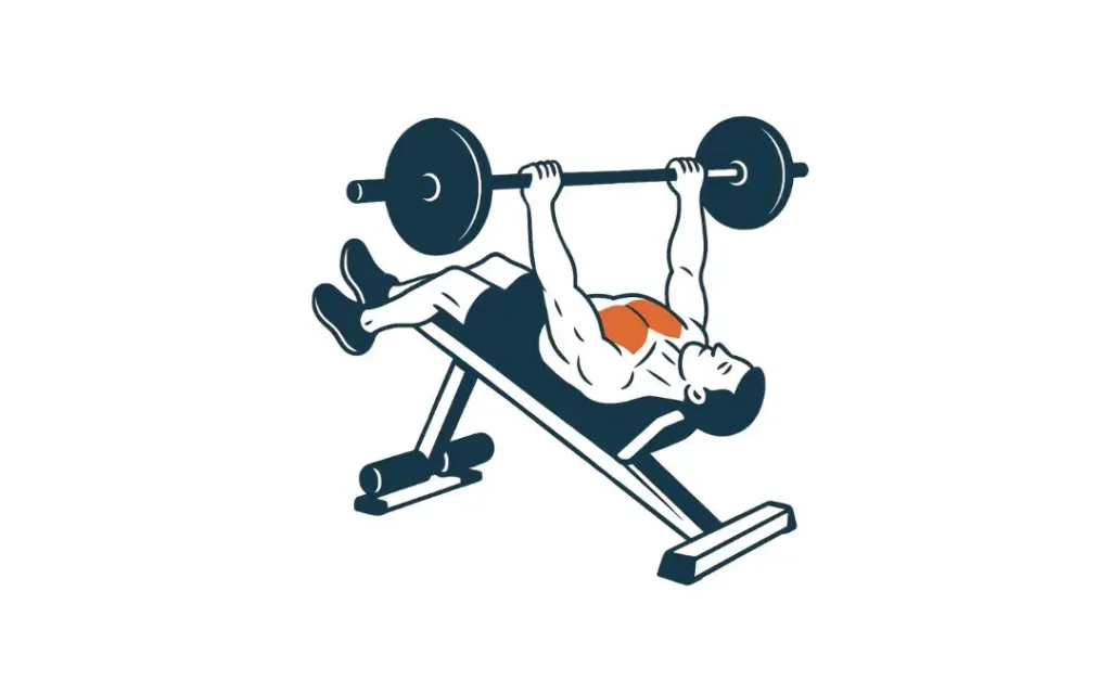 barbell decline bench press