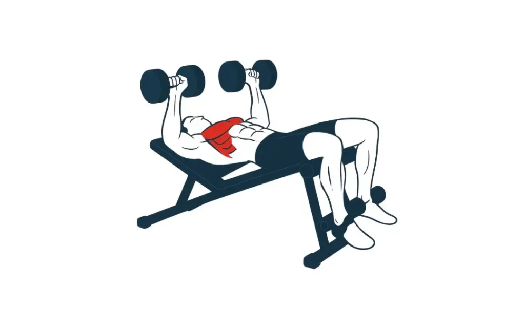 dumbbell decline bench press