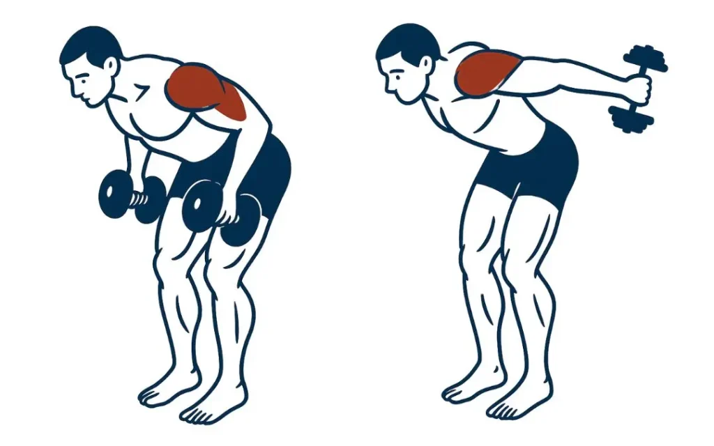 Triceps kickback exercise demonstration