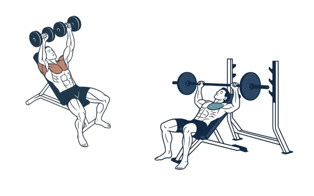 Drawing of 2 men performing the incline press, one with a barbell and one with dumbbells