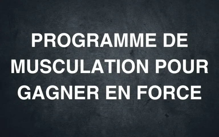 programme de musculation pour gagner en force