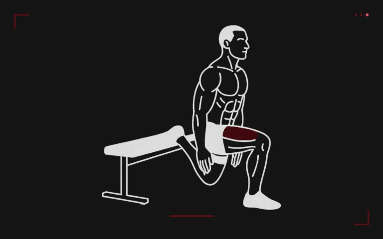 Bulgarian split squat: a man in a split stance with his rear foot on a bench, front thigh highlighted in red