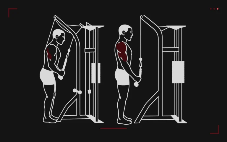 High pulley triceps pushdown: a man standing pushing the bar down, triceps highlighted in red
