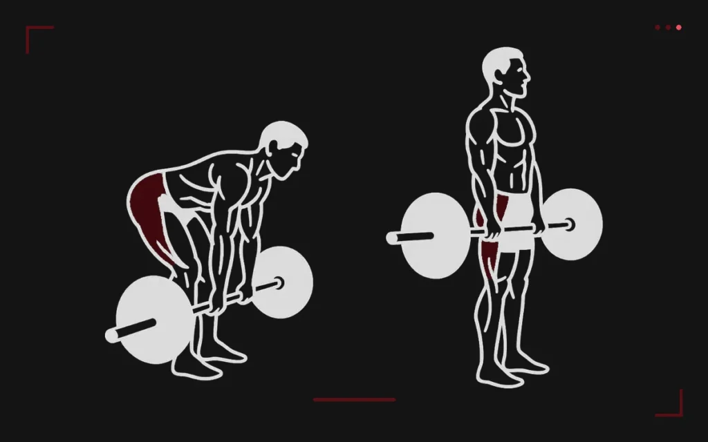 Barbell deadlift: a man in the flat-back starting position then standing tall at lockout