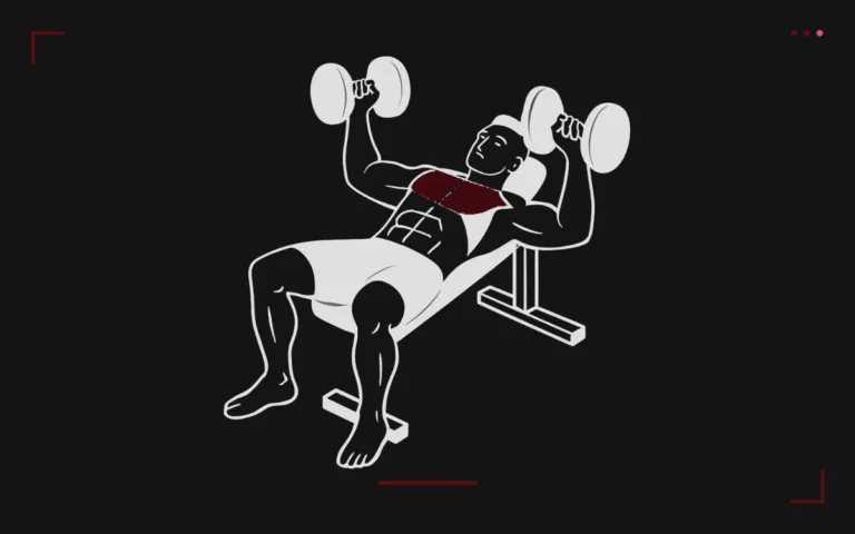 Dumbbell bench press: a man lying on a bench pressing two dumbbells, chest highlighted in red