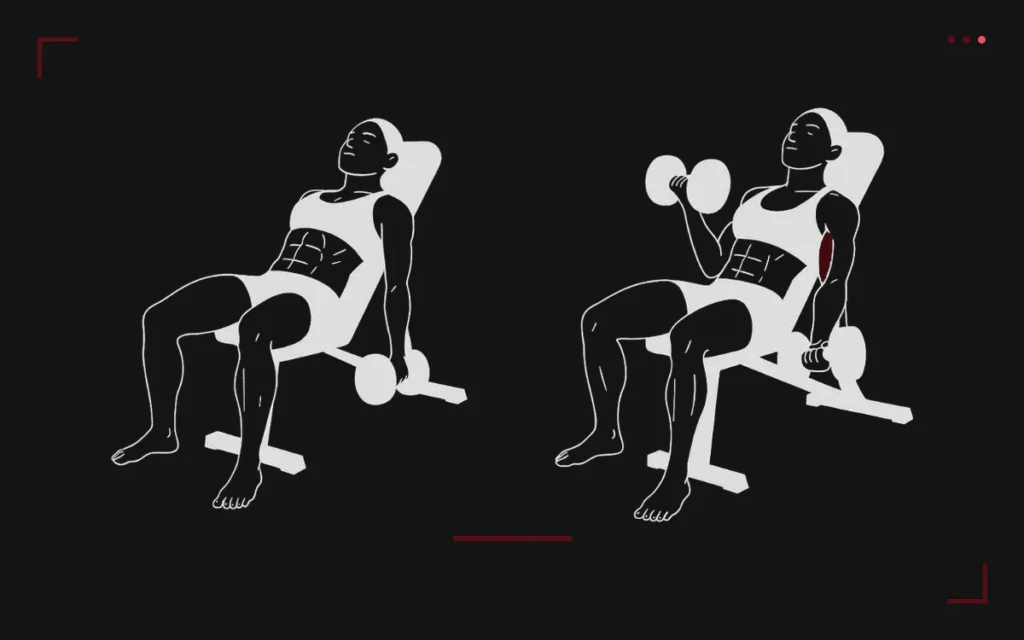 Incline dumbbell curl: a man on an incline bench, arms hanging then curling a dumbbell, biceps highlighted