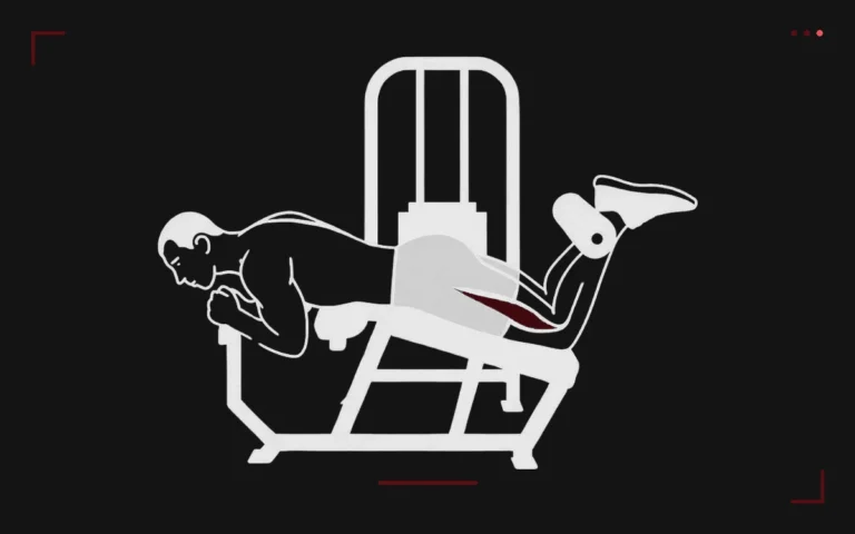 Lying leg curl machine: a man lying face down curling his legs, hamstrings highlighted