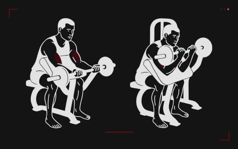 Preacher curl: a man seated at the preacher bench, arms on the pad, curling an EZ bar, biceps highlighted