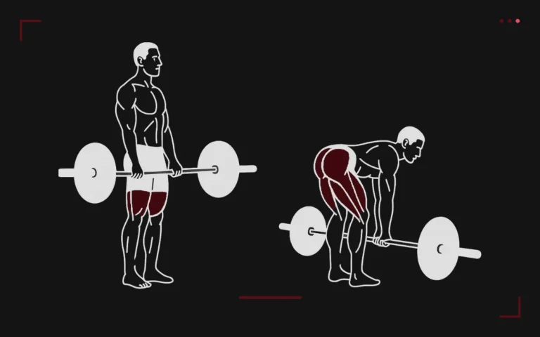 Romanian deadlift: a man standing with the barbell then hinging with nearly straight legs, hamstrings highlighted