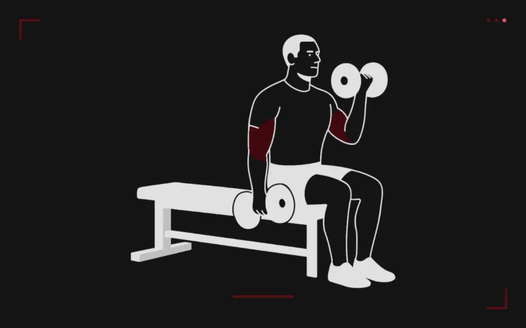 Seated dumbbell curl on a bench: a man curling a dumbbell with his biceps highlighted